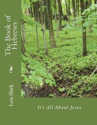 bokomslag The Book of Hebrews: It's All About Jesus