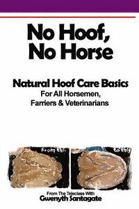 bokomslag No Hoof, No Horse: A Basic Guide To Natural Hoofcare Basics for Horsemen, Farriers & Vetrinarians