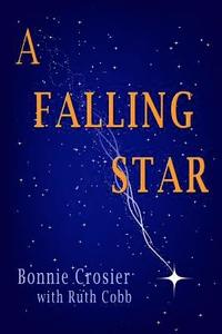 bokomslag A Falling Star