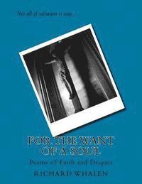 bokomslag For The Want of A Soul: Poems of Faith and Despair