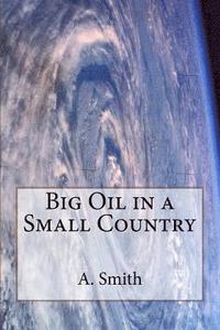 bokomslag Big Oil in a Small Country