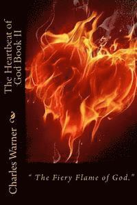 bokomslag The Heartbeat of God Book II: The Fiery Flame of Love