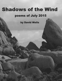 bokomslag Shadows of the Wind: poems of July 2015