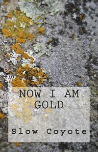 bokomslag Now I Am Gold