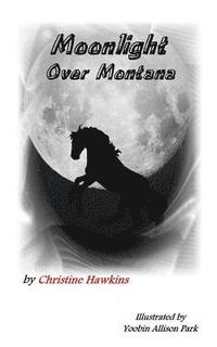 bokomslag Moonlight over Montana