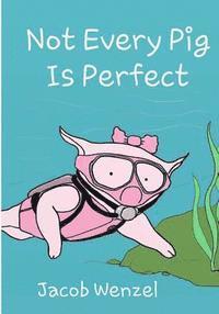 Not Every Pig is Perfect 1