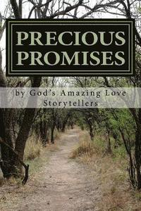 bokomslag Precious Promises