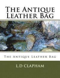 bokomslag The Antique Leather Bag: The Antique Leather Bag