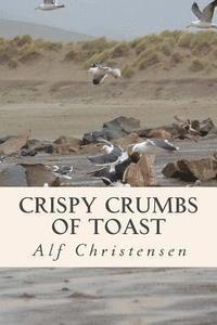 bokomslag Crispy Crumbs of Toast: A Collection of Poetry