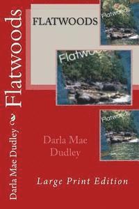 bokomslag Flatwoods: Now in Large Print