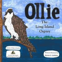 bokomslag Ollie The Long Island Osprey