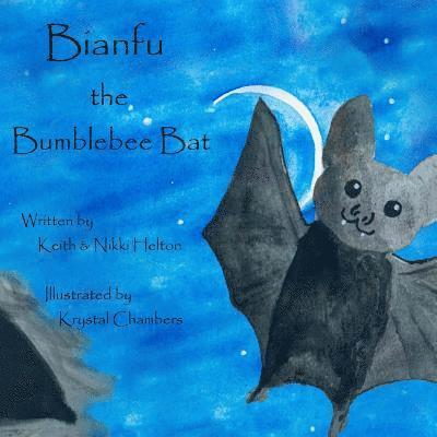 Bianfu the Bumblebee Bat 1