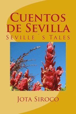 bokomslag Cuentos de Sevilla