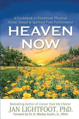 bokomslag Heaven Now: A Guidebook to Emotional, Physical, Social, Sexual & Spiritual Peak Performance