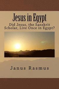 bokomslag Jesus in Egypt: Did Jesus, the Sanskrit Scholar, Live Once in Egypt?