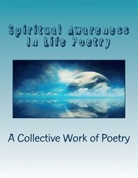 bokomslag Spiritual Awareness In Life Poetry