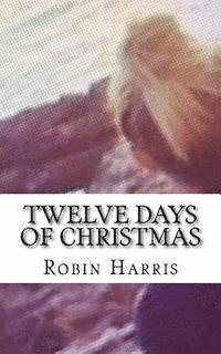 bokomslag Twelve Days of Christmas: Twelve Days of Chistmas