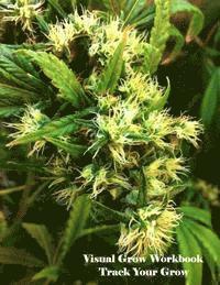 J. Reagan - Visual Grow Workbook, Häftad