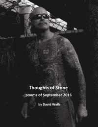 bokomslag Thoughts of Stone: poems of September 2015