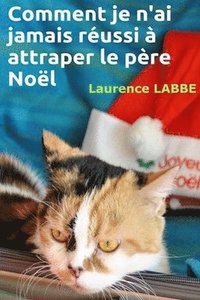 bokomslag Comment je n'ai jamais réussi à attraper le père Noël