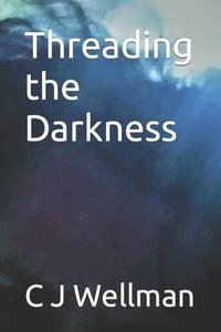 bokomslag Threading the Darkness