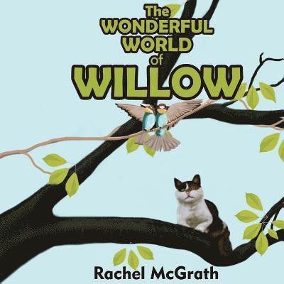The Wonderful World of Willow 1