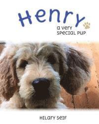 bokomslag Henry: A Special Pup