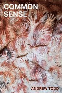 Andrew Todd - Common Sense, Häftad
