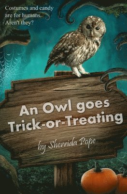 bokomslag An Owl Goes Trick-or-Treating