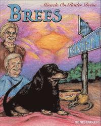 bokomslag Brees - Miracle On Rader Drive: How A Loving Black And Tan Thoroughbred Dachshund Filly Named Brees Changed The Lives Of Her Mom And Dad