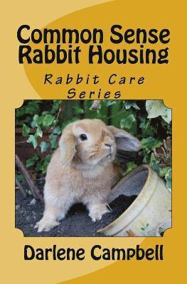 Common Sense Rabbit Housing 1