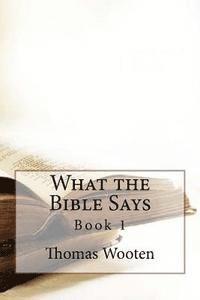 bokomslag What the Bible Says