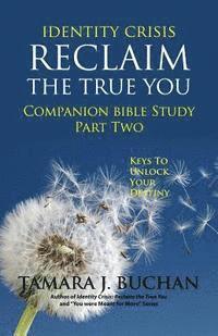 bokomslag Identity Crisis Reclaim the True You: Companion Bible Study Part 2