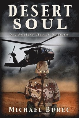 bokomslag Desert Soul: One Soldier's View of the Storm