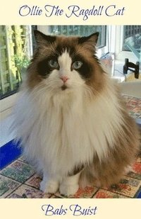 bokomslag Ollie The Ragdoll Cat: A Book for Cat Lovers of All Ages