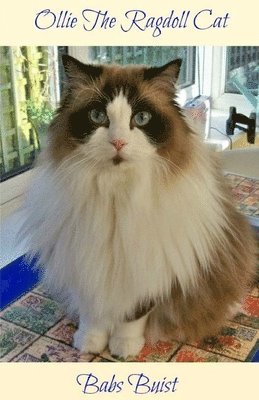 Ollie The Ragdoll Cat: A Book for Cat Lovers of All Ages 1