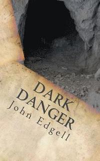 bokomslag Dark Danger