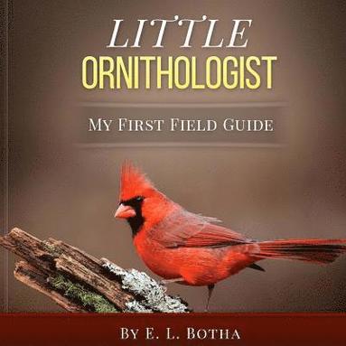 bokomslag Little Ornithologist