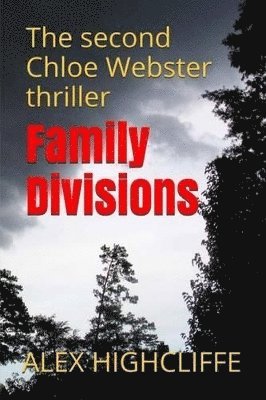 bokomslag Family Divisions