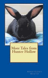 bokomslag More Tales from Hunter Hollow