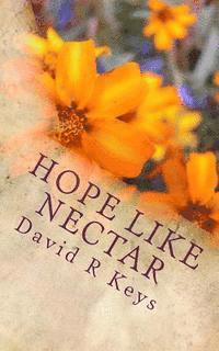 David R. Keys - Hope Like Nectar: Rediscovering the goodness of God in the Bible's teaching on heaven, hell and the destiny of humankind, Häftad
