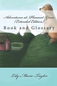 bokomslag Adventures at Pleasant Grove (Extended Edition): Book and Glossary
