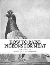 bokomslag How To Raise Pigeons For Meat: Raising Pigeons for Squabs Book 10