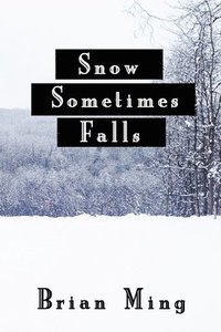 bokomslag Snow Sometimes Falls
