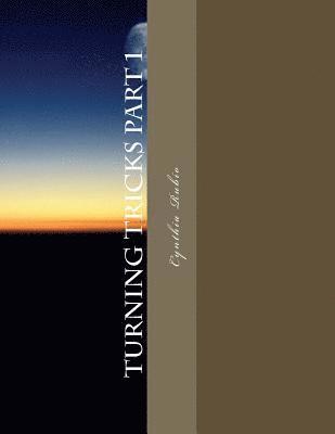 Cynthia Rubio - Turning Tricks part 1: Hotations Presents, Häftad