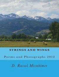 Strings and Wings 1