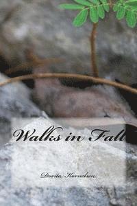 bokomslag Walks in Fall