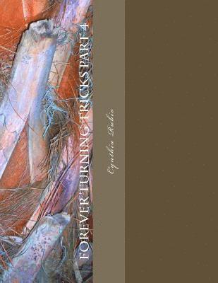 Cynthia Rubio - Forever Turning Tricks part 4: Hotations Presents, Häftad