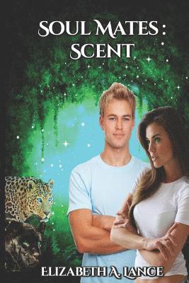 bokomslag Soul Mates Scent
