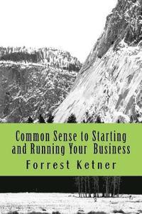 bokomslag Common Sense to Starting and Running Your Business
